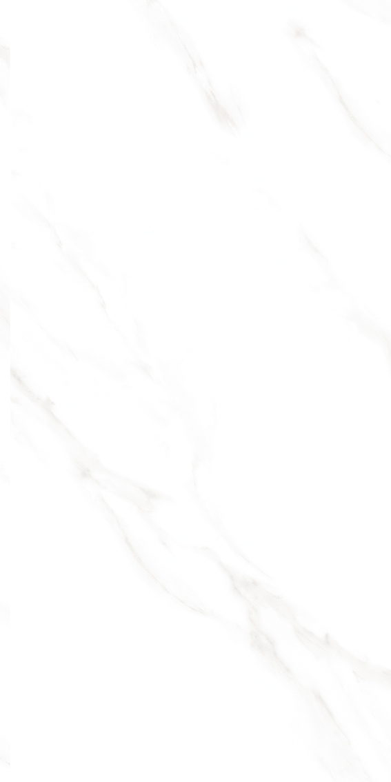 FSD12F01
