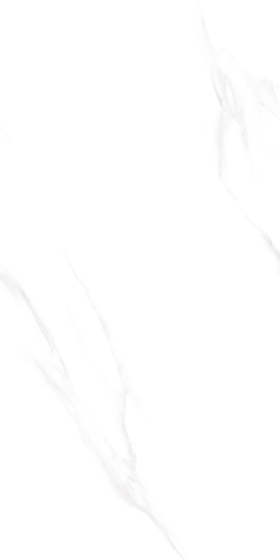 FSD12F06