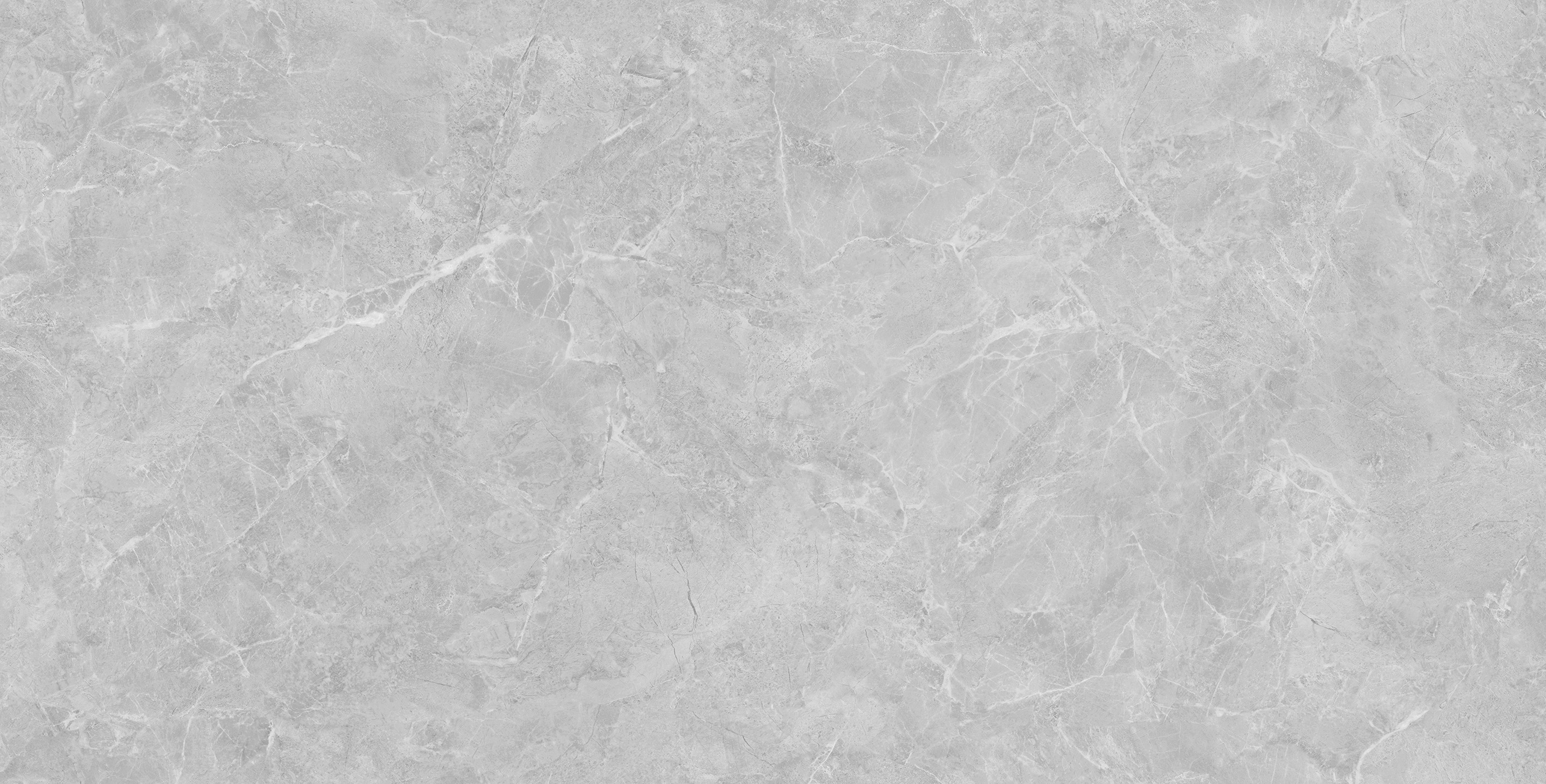 FSD48Y007