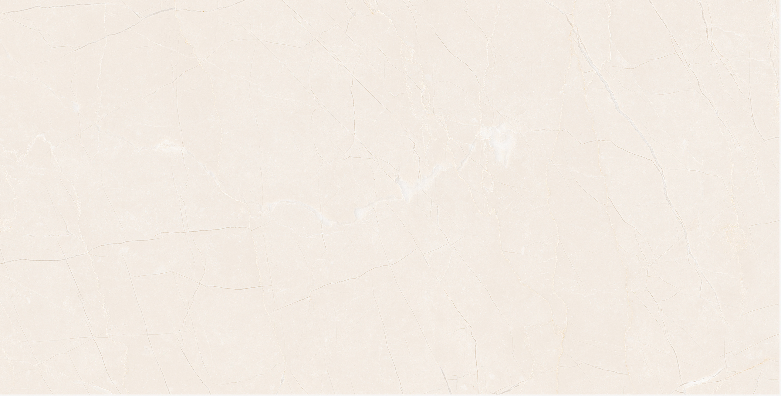 FSD48Y002