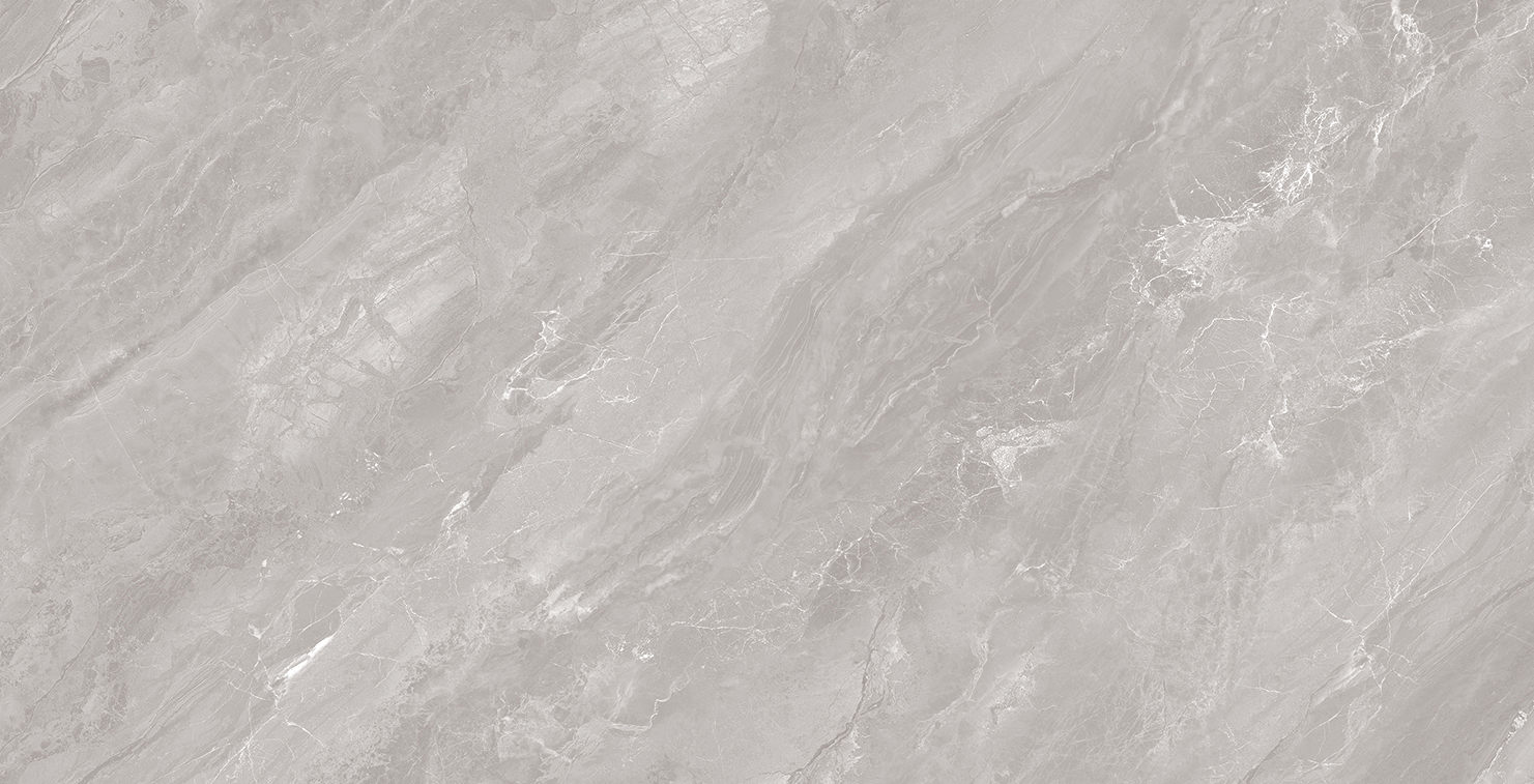 FSD48Y005