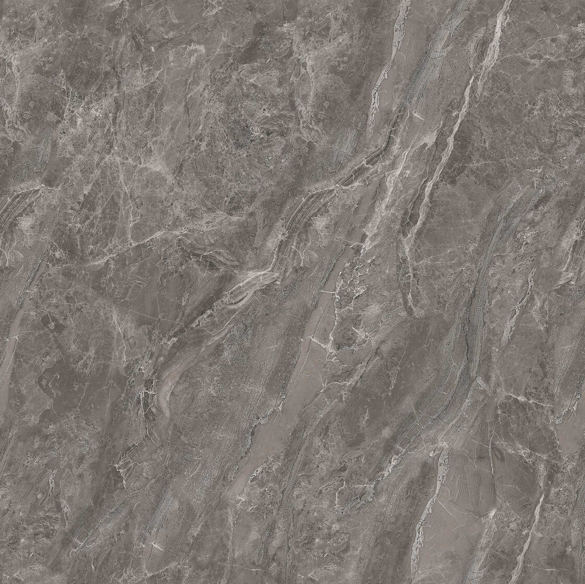 FSD8Y004