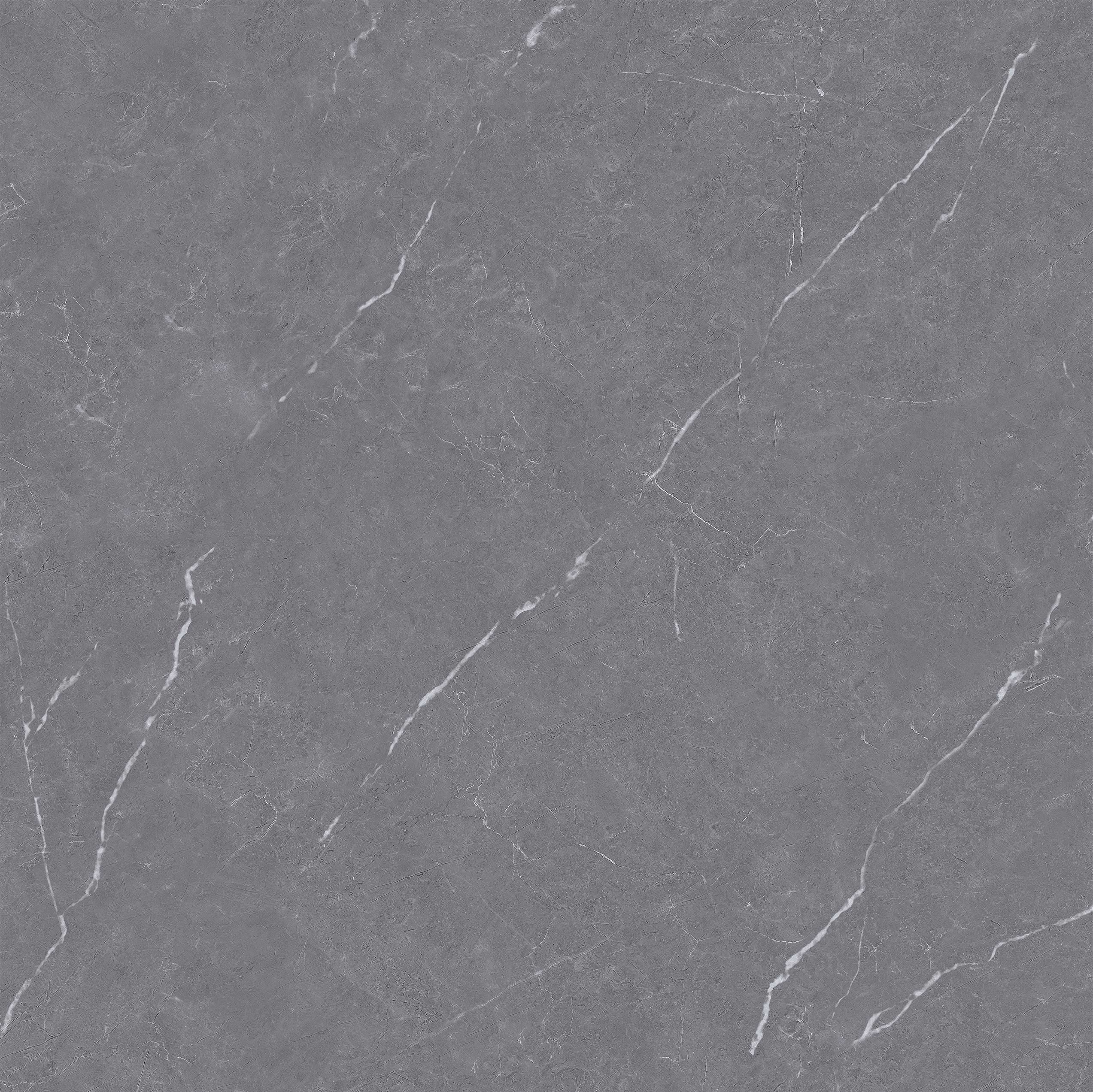 FSD8Y003