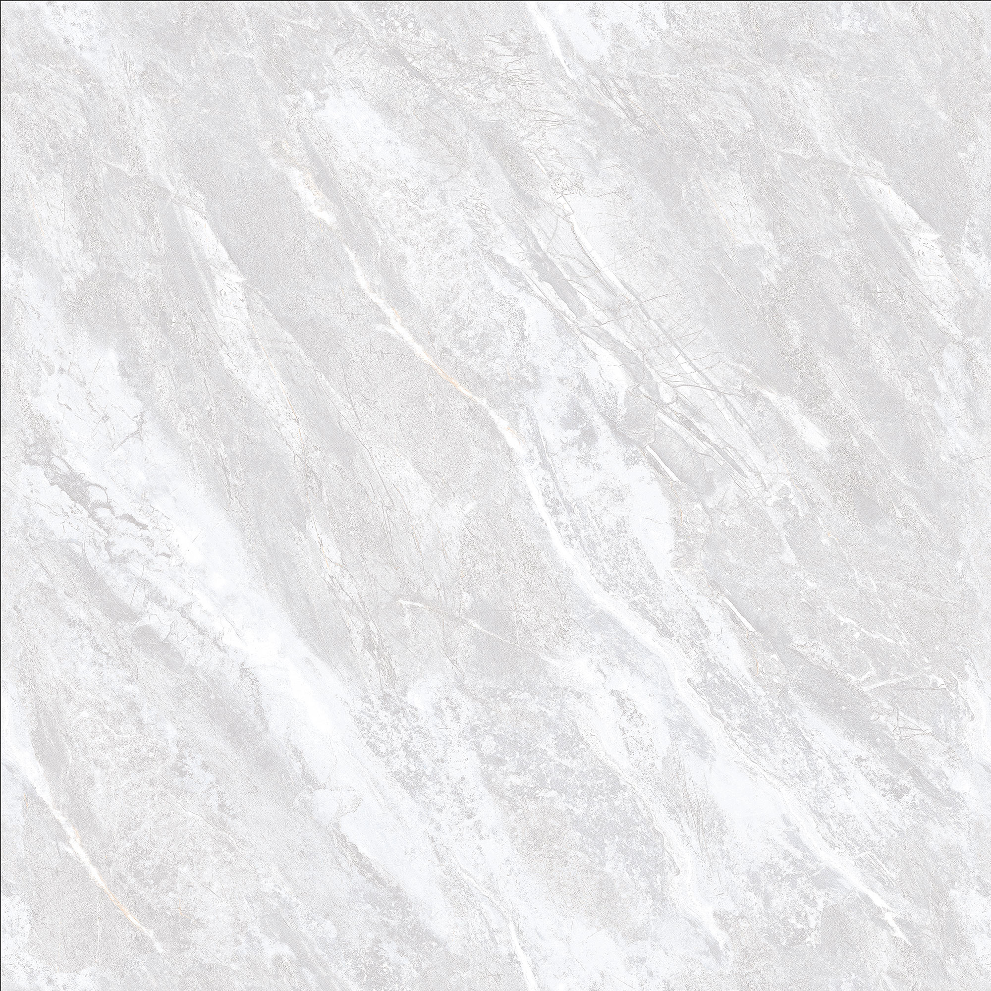 FSD8Y006