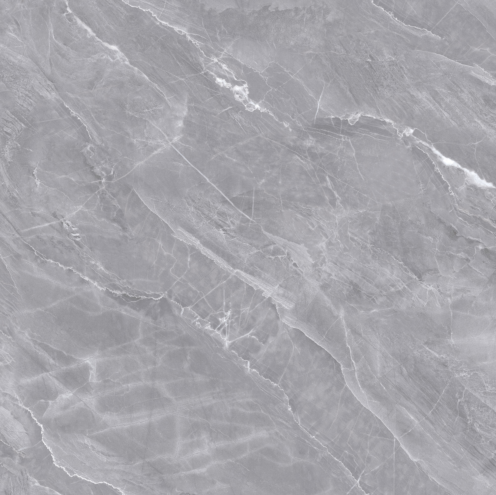 FSD8Y009