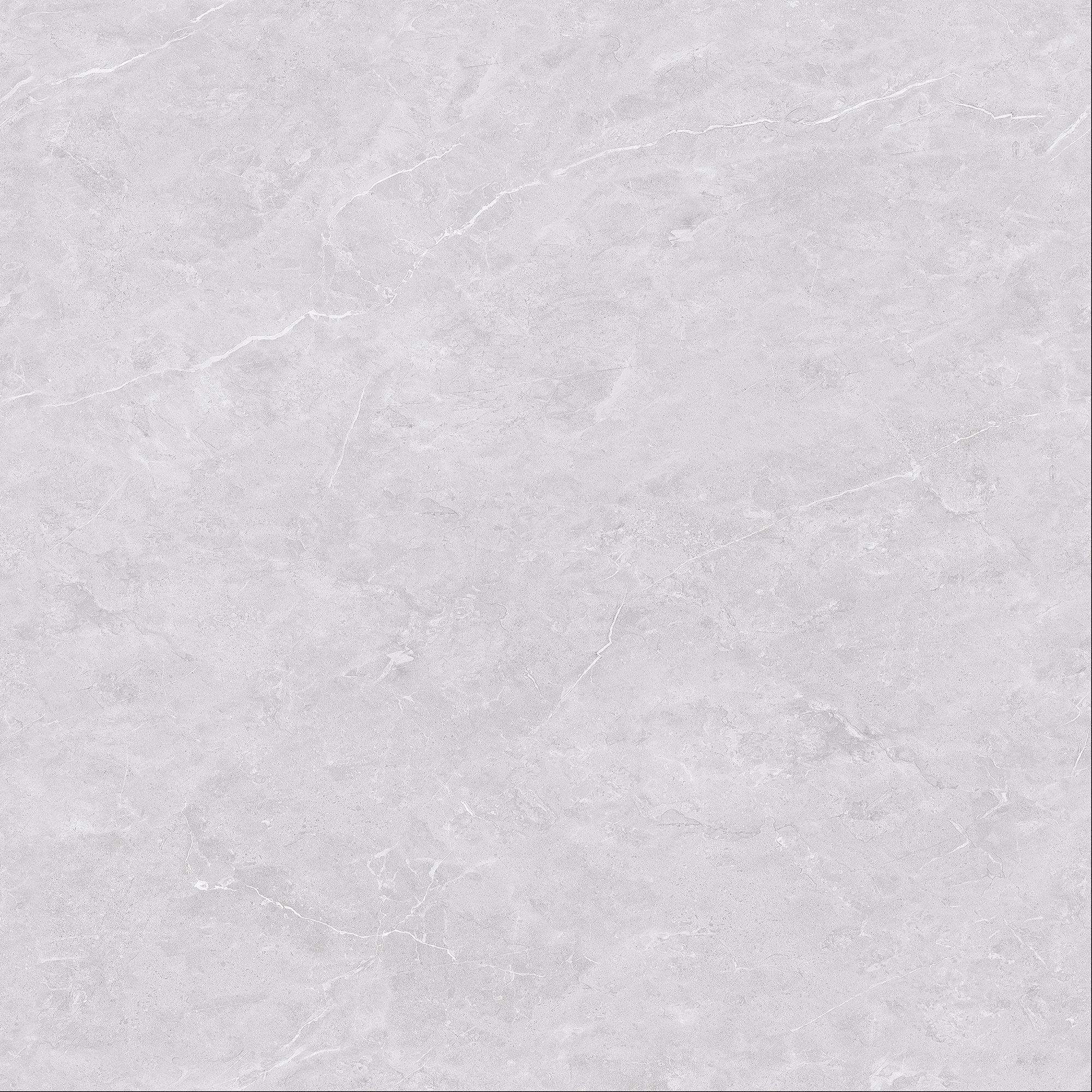FSD8Y008