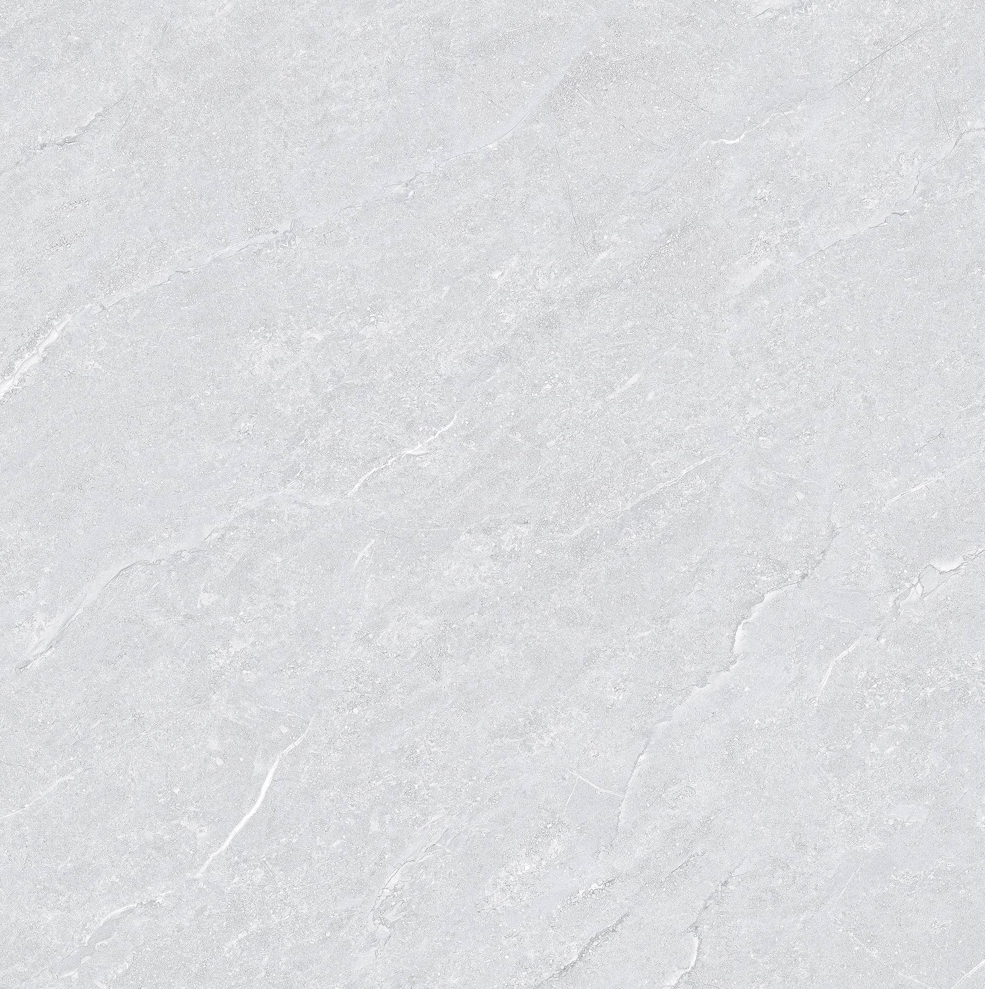 FSD8Y011