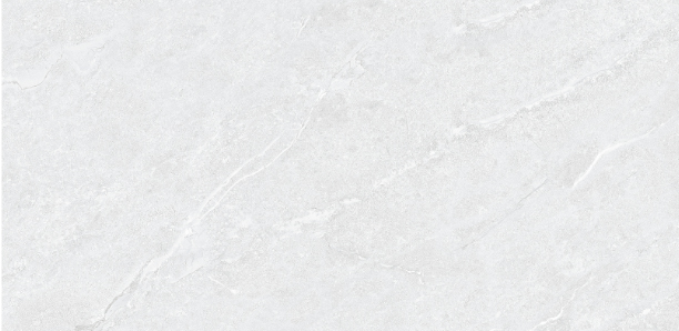 FSD48Y011