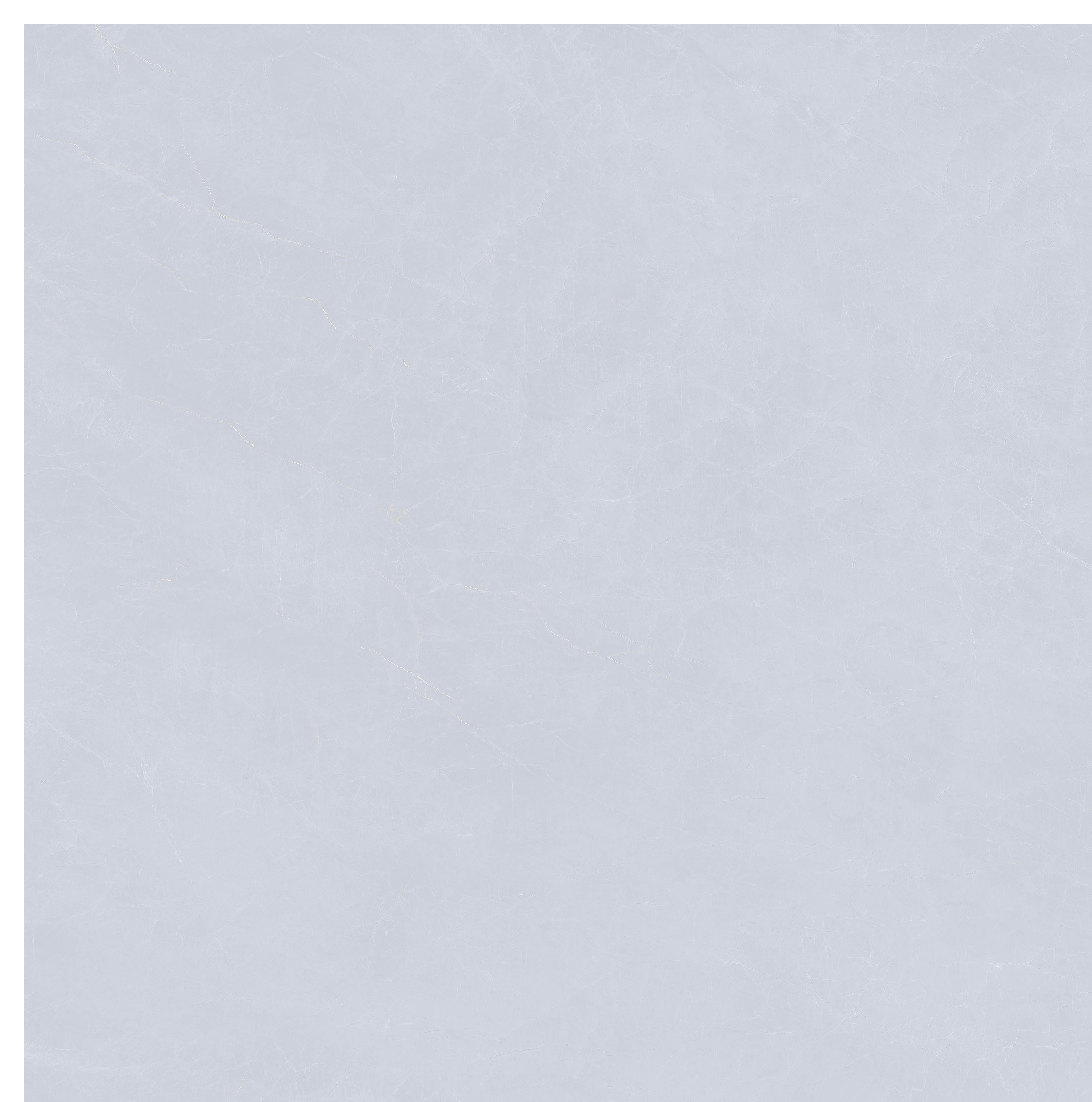 FSD8E221